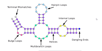 <p>Single strand molecule that is normally shorter than DNA</p><ul><li><p>contains adenine, guanine,, cytosine, and uracil </p></li></ul><p></p>