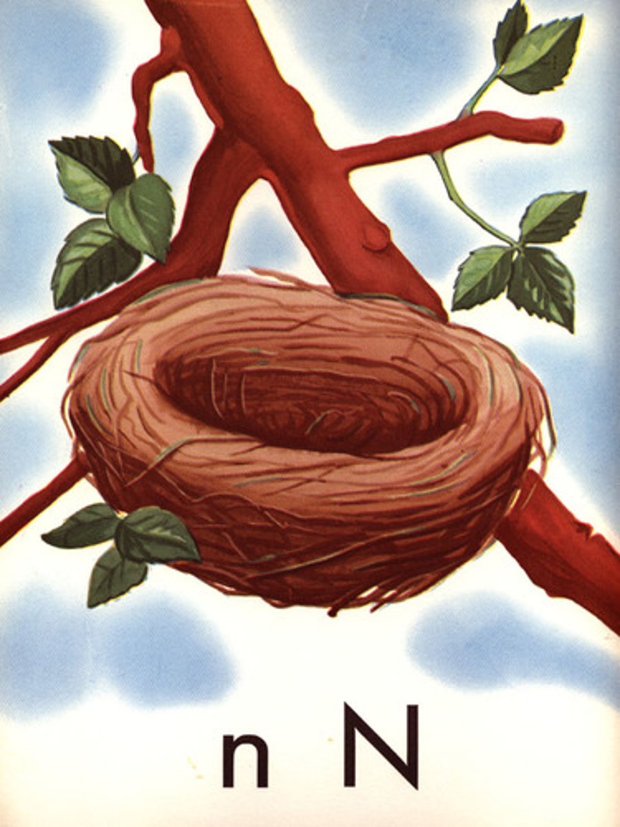 <p>teaching reading by first teaching the sounds of each letter and of various letter combinations</p>