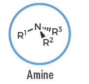 <p>An organic compound containing a nitrogen atom bonded to one or more carbon substituents (R–NR'R''); general formula for amines.</p>