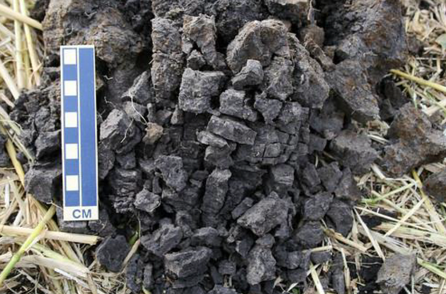 <ul><li><p>Soil structure characteritzed by 5-50 mm grains usually found in the B horizon</p></li><li><p>Usually designated as angular or subangular</p></li></ul>