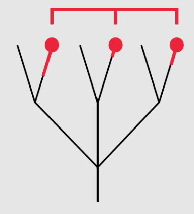 <p>Grouping of Some (not all) decendants</p>