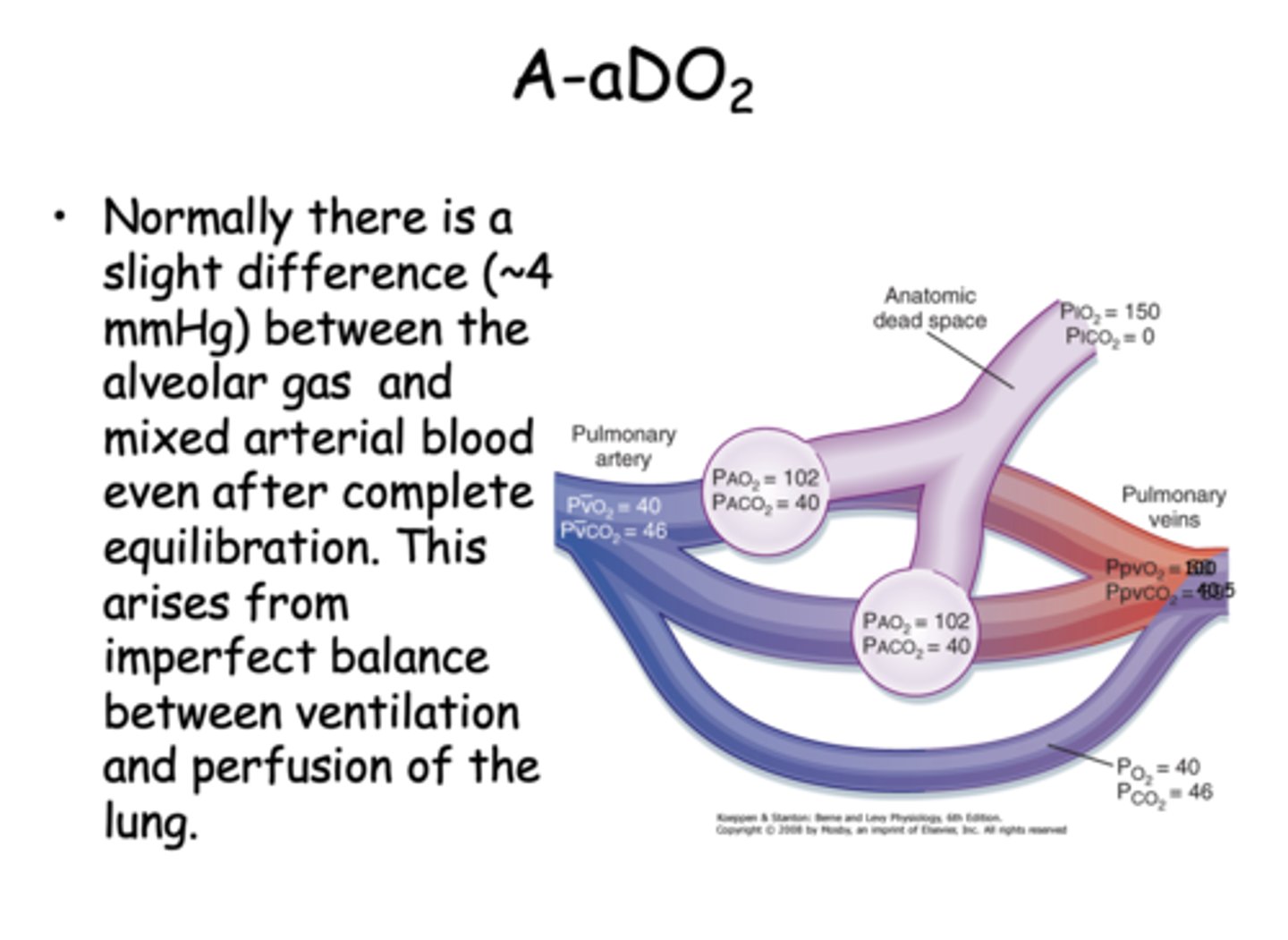 <p>4 mmHg</p>