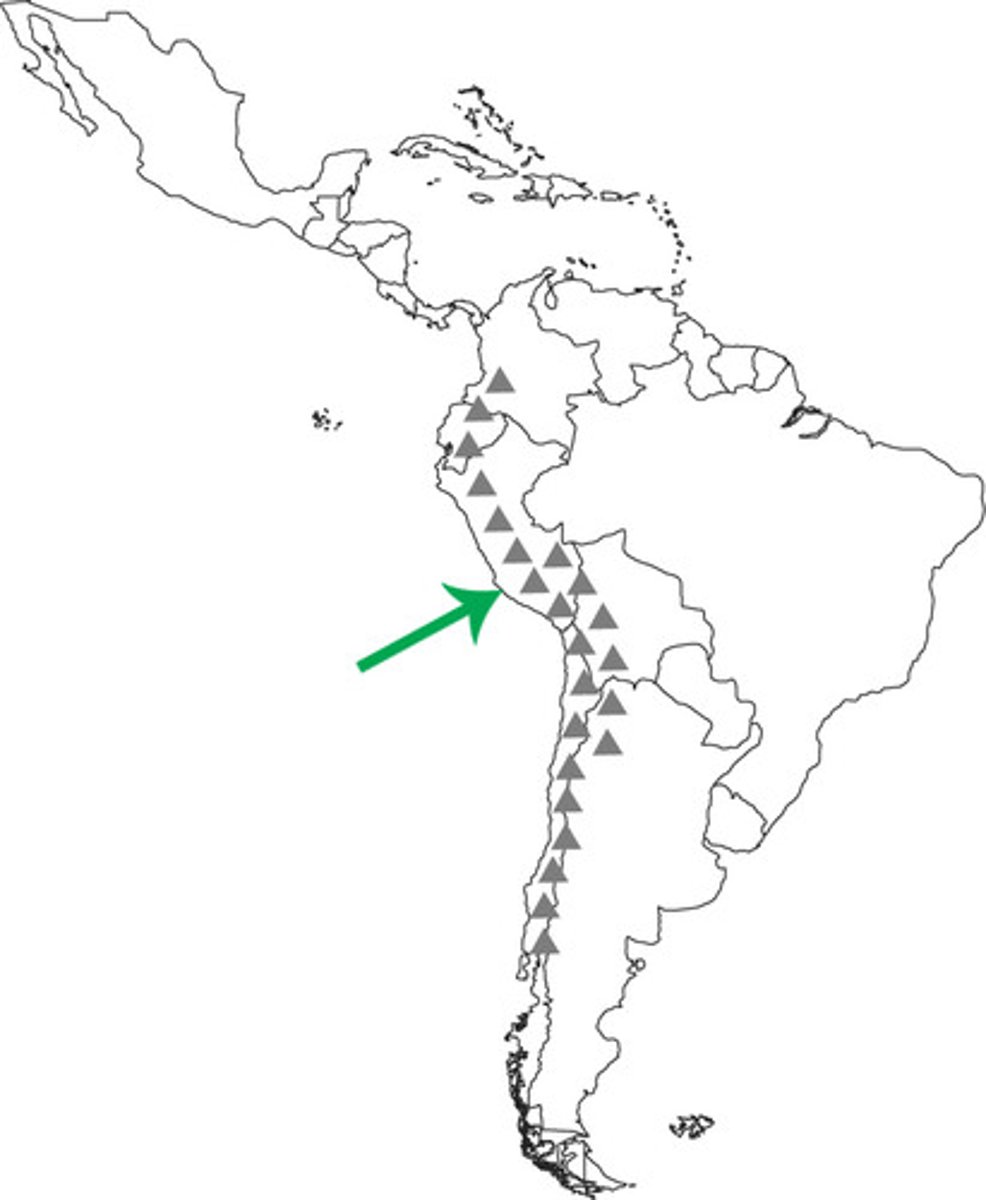 <p>Mountain range that runs along the western side of South America</p>