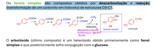 <p>são compostos obtidos por descarboxilação e redução (transformação de um carbonilo em hidroxilo) de estruturas C6-C1</p>