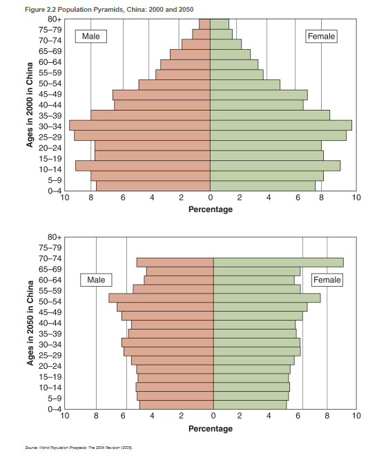 <p>One child policy </p>
