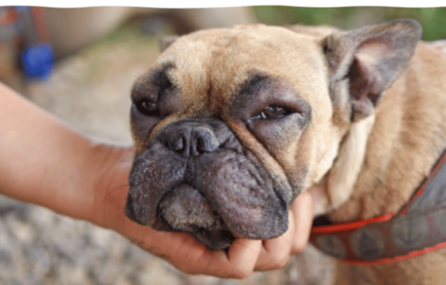 <p>what is this?</p>