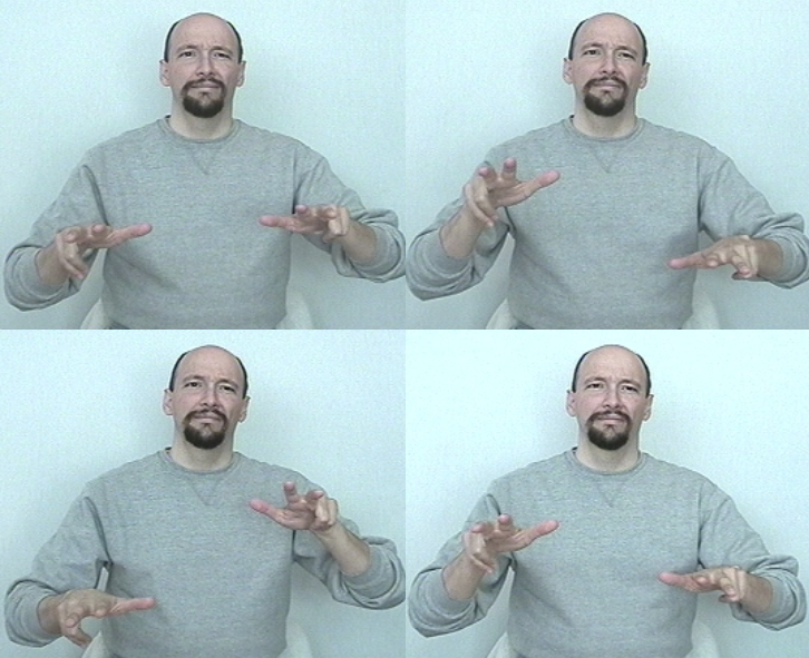 <p>number&nbsp;“3” handshape, move hands up and dow</p>