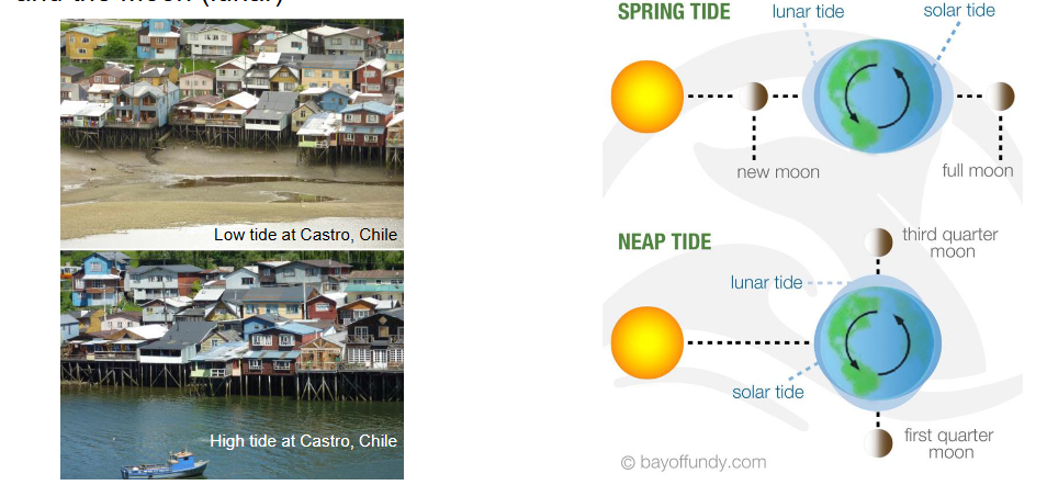 <p>Small variations in local sea level due to gravitational effects of both the Sun and the Moon</p><p>Creates currents</p><p>Bay of Fundy has the highest tides in the world</p>