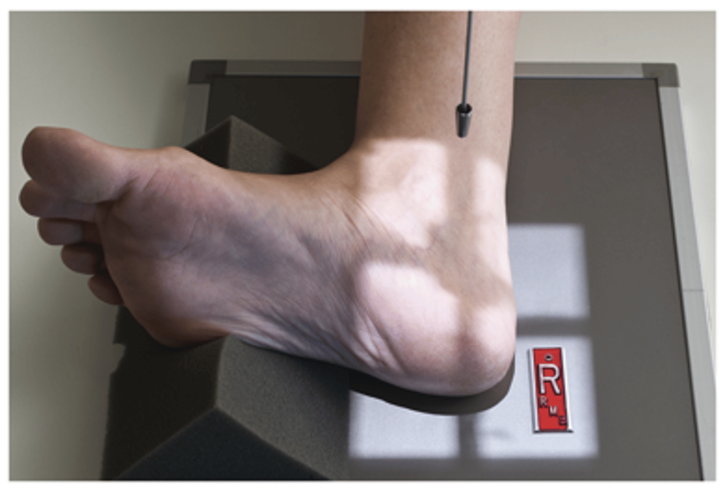 <p>What projection is this?</p>