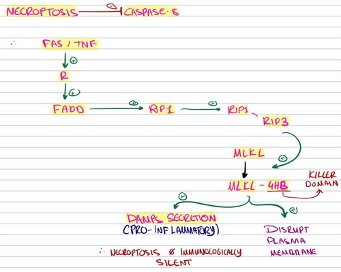 knowt flashcard image