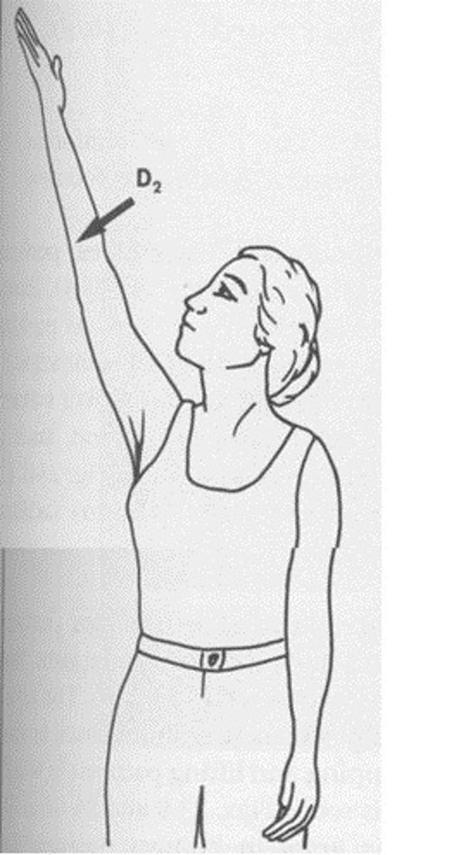 <p>ending position: shoulder flexion (lifting ur sword)</p><p>functional exam: Lifting a plate to a high shelf, reaching for a seatbelt, pulling a cord on a machine, or reaching upward to hang clothes.</p>
