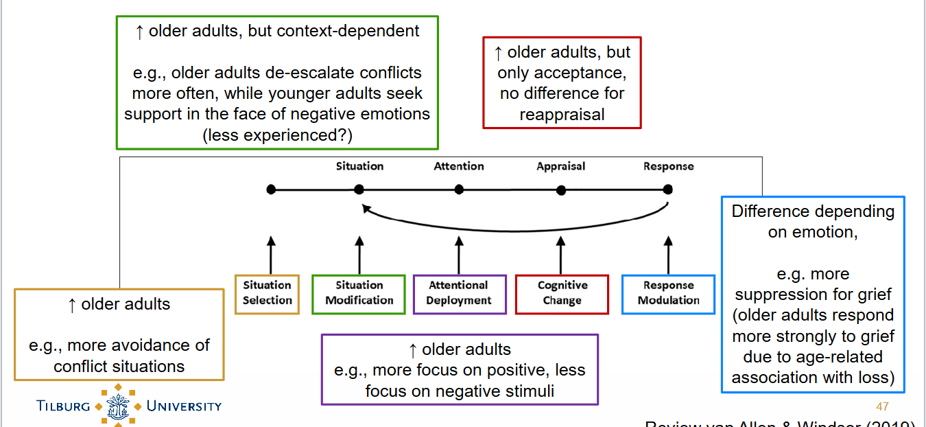 <ol><li><p>More Situation Selection</p><ul><li><p>avoidance of conflict situations</p></li></ul></li><li><p>More Situation Modification</p><ul><li><p>older adults de-escalate conflicts more often</p></li></ul></li><li><p>More Attentional Deployment</p><ul><li><p>more focus on positive, less on negative stimuli</p></li></ul></li><li><p>More Cognitive Change</p><ul><li><p>more acceptance</p></li><li><p>no difference for reappraisal</p></li></ul></li><li><p>Response Modulation — Difference depending om emotion</p><ul><li><p>more suppression for grief</p></li></ul></li></ol><p></p>