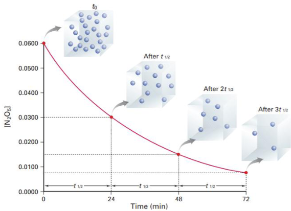 <p>What is half-life of reaction and explain the graph</p>