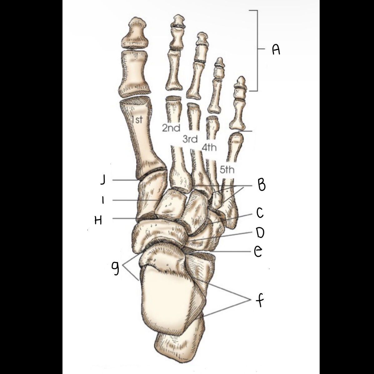 <p>What letter is I pointing to?</p>