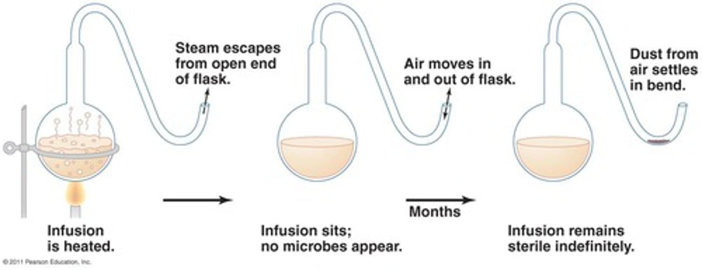 <p>He used curved neck flasks that allowed air to mix with the outside air, but prevented solid particles to enter.</p><p>he boiled the flasks, and they remained clear for a year</p><p>After he broke the necks, the broth became cloudy in a day.</p><p>Proved that the contamination was due to microbes in the air</p><p>Disproved Spont. Gen</p>