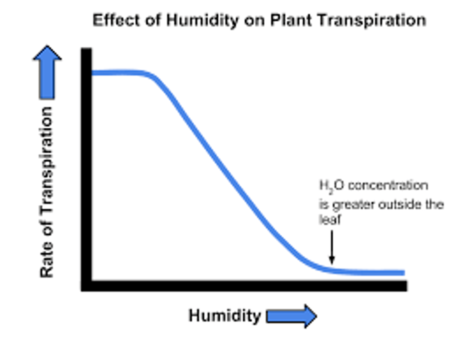 <p>High humidity decreases the rate of transpiration because it reduces the concentration gradient for diffusion</p>