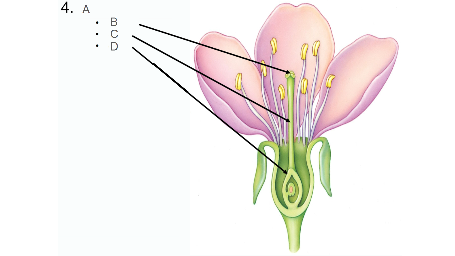 <p>What is C?</p>