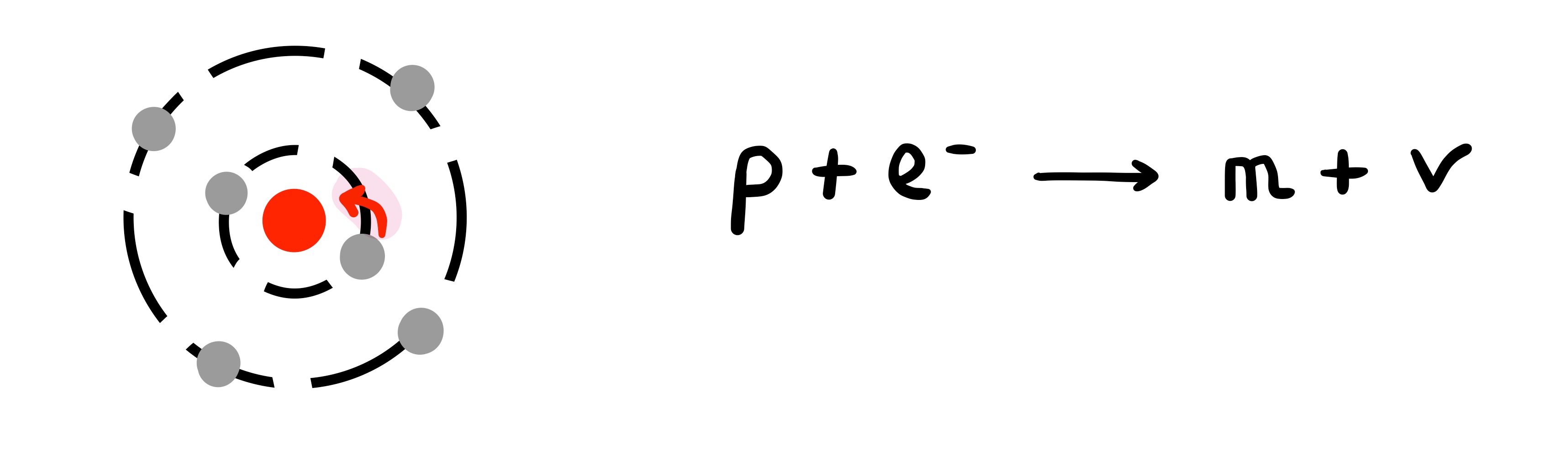 <p>→ Mécanisme par lequel un proton du noyau entre en interaction avec un électron des couches profondes de l’atome</p>