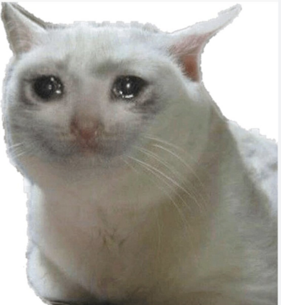 <p>we are now moving onto specific diseases within species... move to the next quizlet</p>