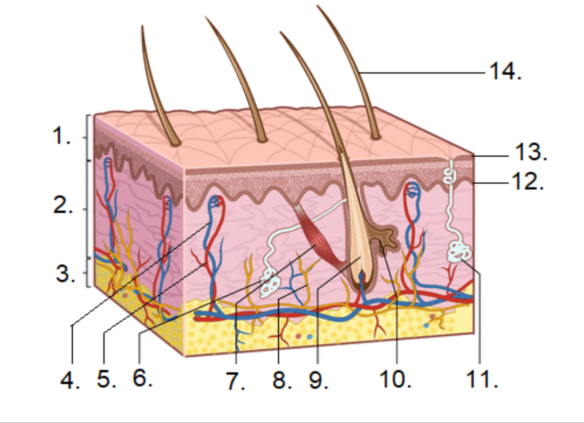 <p>What is #6?</p>
