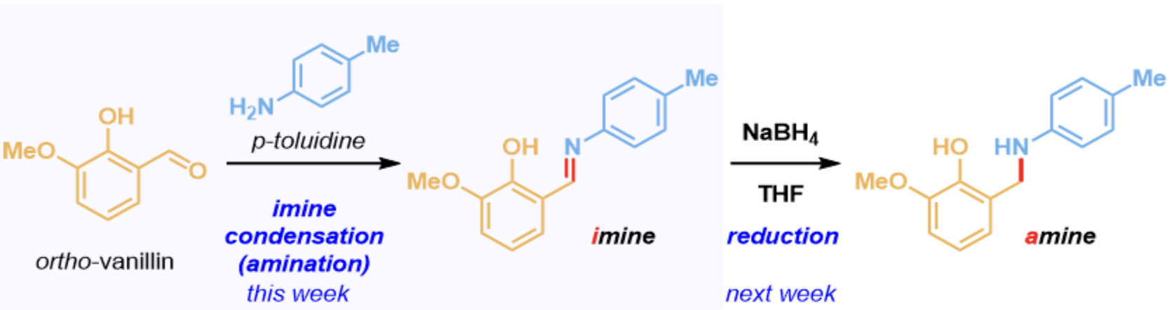 <p>A more reliable way to synthesize substituted amines selectively, as amines are increasingly nucleophilic with substitution </p><ol><li><p>Combine amine with an aldehyde or ketone, which are electrophilic </p><ol><li><p>Forms a hemiaminal that is unstable and collapses to create an imine with a new C=N (electrophilic) bond with the loss of water </p></li></ol></li><li><p>Amine is treated with a reducing agent like NaBH4, which will add hydrides to electrophiles </p></li></ol>