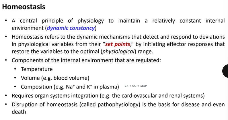 <p>#VR (venous return) -> CO (cardiac output) ->MAP</p>