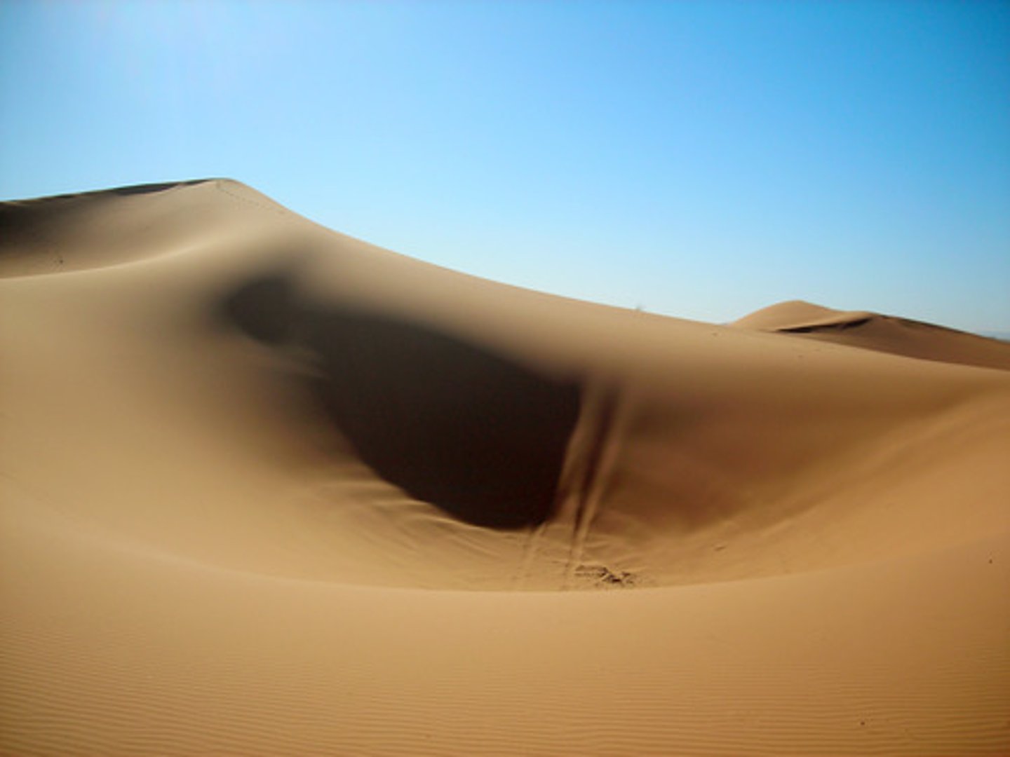 <p>A hill or ridge of sand piled up by the wind</p>