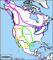 <p>green region</p>