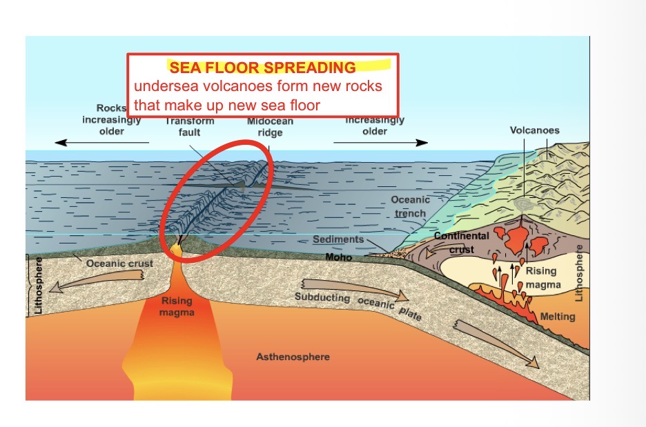 <p>-plates moving apart</p><p>-magma rising</p><p>-undersea volcanoes make new crust</p><p>Undersea volcanoes form new rocks that make up new sea floor </p>
