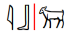 <p>ib</p>