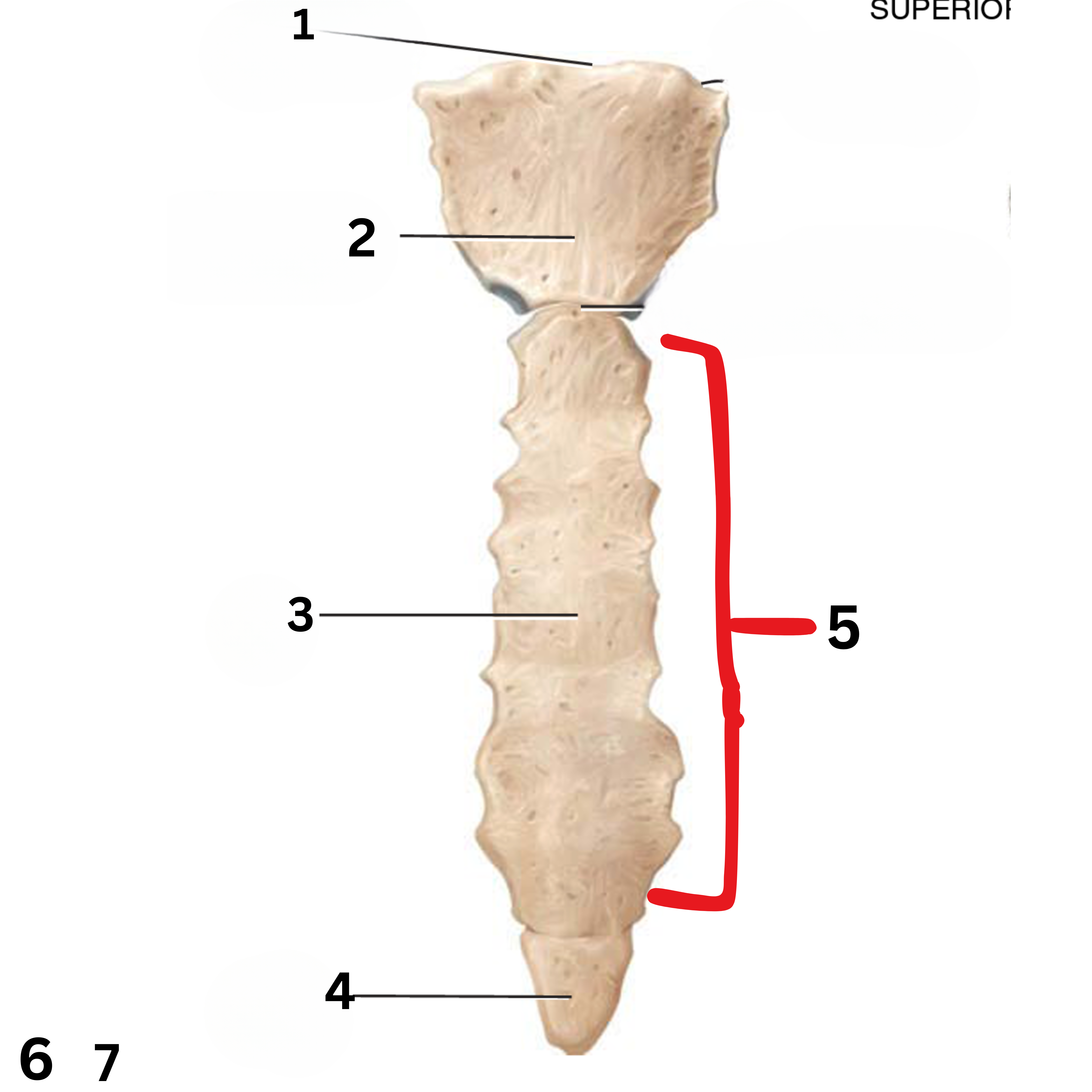 <p>2</p>