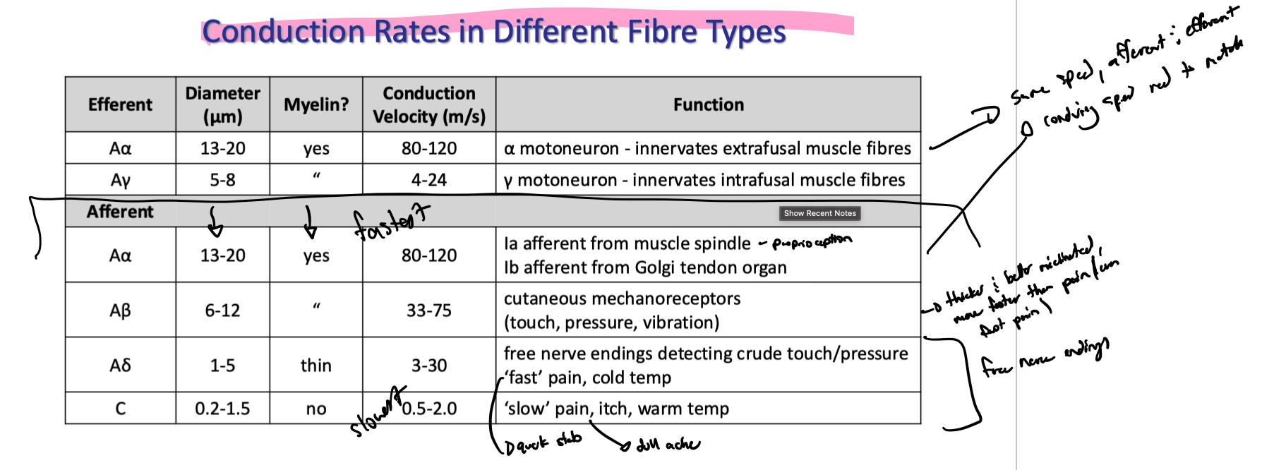 <p>make q cards for this section if needed</p>