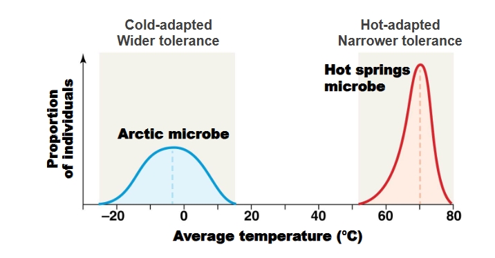 <p>Why is <strong>temperature </strong>important in species distribution?</p>