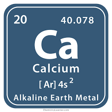 <p>Calcium</p>