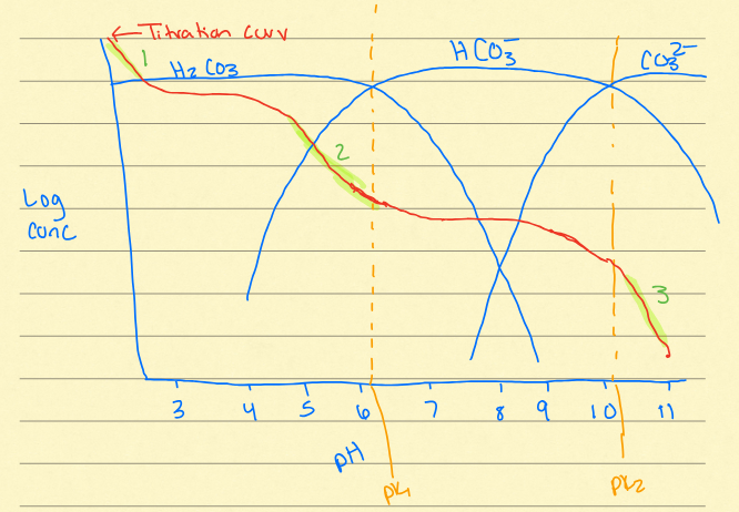 <ol><li><p>right before H2CO3</p></li><li><p>second downward curve/hump</p></li><li><p>final downward curve/hump</p></li></ol><p></p>