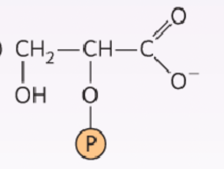 <p>What structure is this?</p>