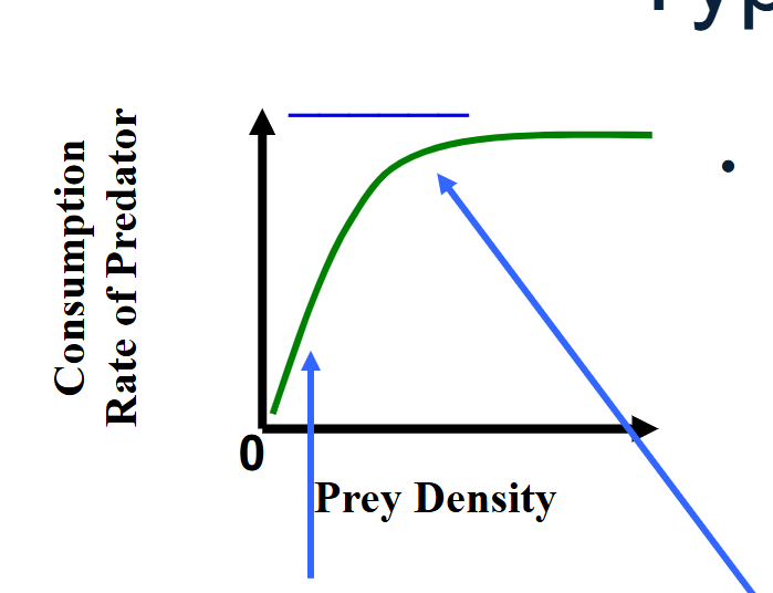 <p>Linear </p><ul><li><p>most common</p></li><li><p>search time varies with prey density</p></li><li><p>handling time is constant but above zero → consumption rate levels off at high prey densities (limited by handling time)</p></li><li><p>as prey density increases, encounter rates increase, search time decreases s &gt; &gt; h</p></li><li><p>where is starts to plato: as prey density increases, search time is zero but handling remains constant (above zero) h &gt; &gt; s</p></li></ul><p></p>