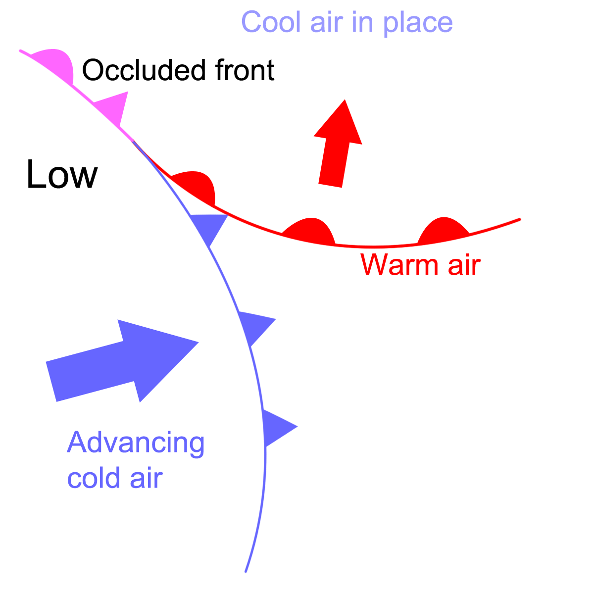 <p>Stage where cold front catches warm front, cutting off energy supply and weakening the cyclone.</p>