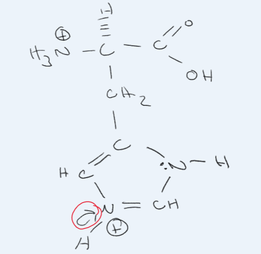 <p>What amino acid is this?</p>