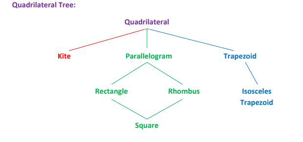 <p>A quadrilateral with two consecutive pairs of congruent sides, but with opposite sides not congruent.</p>