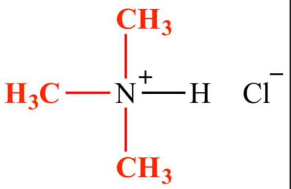 <ul><li><p>Ammonia (-NH3) makes primary amine</p></li><li><p>Primary amine makes secondary amine</p></li><li><p>Secondary amine makes tertiary amine </p></li><li><p>Tertiary amine makes quaternary ammonium salt (photo attached)</p></li></ul><p></p>