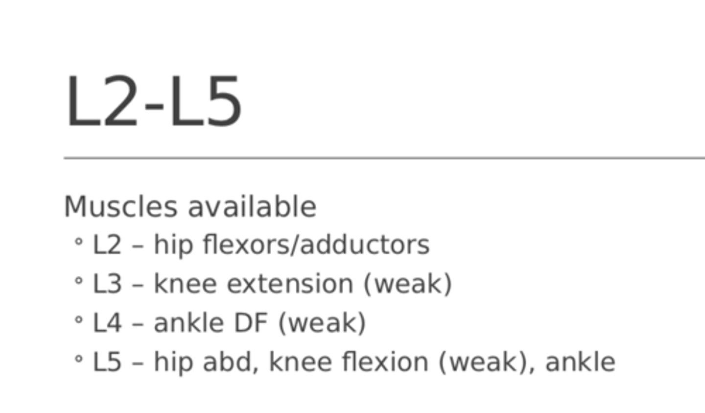<p>Look at this image of Motions Available to a L2-L5 range Complete Spinal Cord Injury. The answer to this slide is SCI</p>