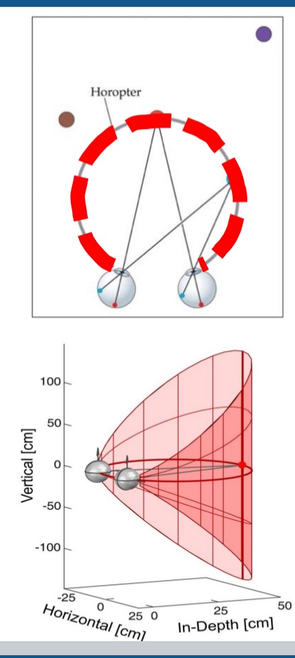 <p><span>location of objects in space whose images lie on corresponding points. The surface of zero disparity</span></p>