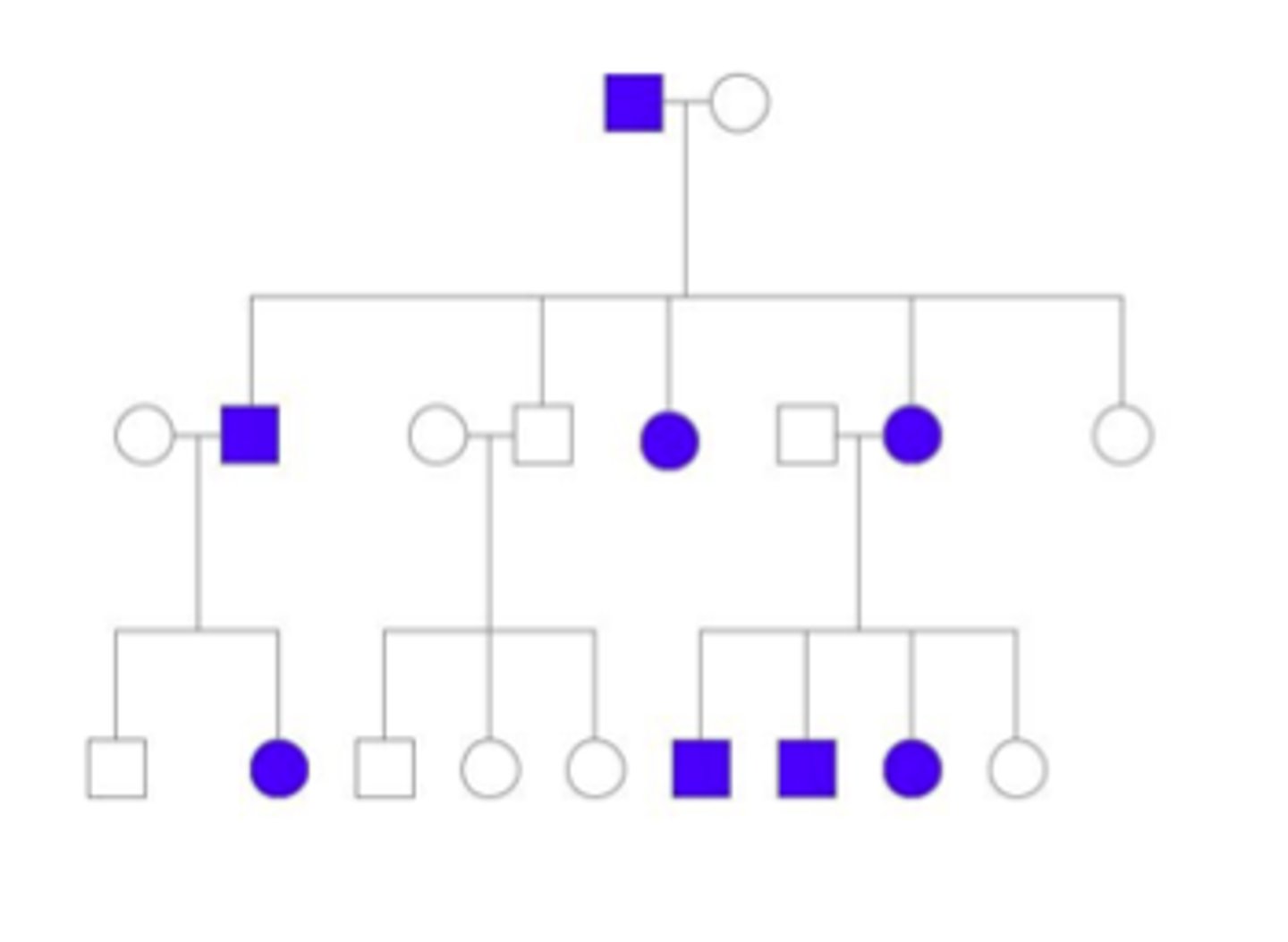 <p>Identify the pattern of inheritance:</p>