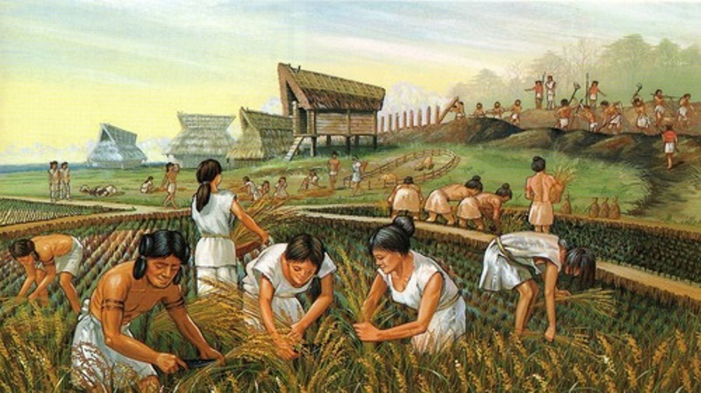 <p>Also known as the Agricultural Revolution; this was a wide-scale transition of many human cultures during the Neolithic period (New Stone Age) from a lifestyle of hunting and gathering to one of agriculture and settlement, making an increasingly larger population possible.</p>