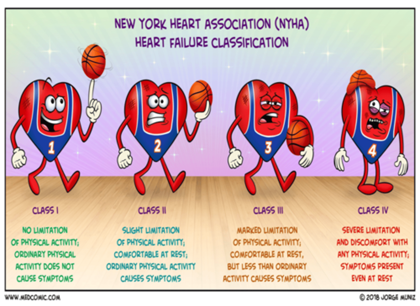<p>class I: no limitation</p><p>- only evident during stress test</p><p>class II: slight limitation</p><p>- ordinary physical activity results in fatigue, palpitation, dyspnea, or angina</p><p>class III: marked limitation</p><p>- less than ordinary physical activity leads to symptoms</p><p>class IV: severe limitations</p><p>- symptoms of HF present even at rest</p>