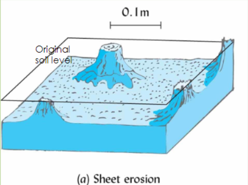 <p>Sheet erosion</p>