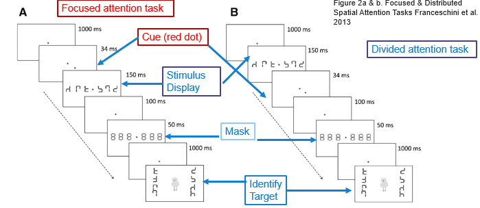 <p>participants are presented with a focus point and then the stimulus display before the cue, so they need to divide their attention across the entire display before they know where they are supposed to look</p>