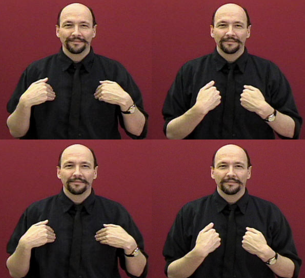 <p>The fingers stay straight. The hands pivot inward toward each other twice</p>