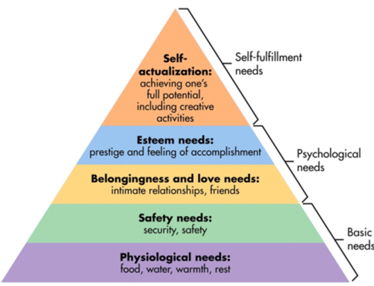 <p>Carl Rogers &amp; Abraham Maslow (1910-1980)</p><p>- Revived interest in the study of mental processes</p><p>- Ways that current environments nurture or limit growth potential</p><p>- The importance of having the needs for love and acceptance satisfied</p>